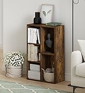 Furinno Basic Coffee Table, 2-Tier Modern Coffee Table with Open Shelf, Easy Assembly Side Table, for Living Room, Bedroom, Home Office, Amber Oak